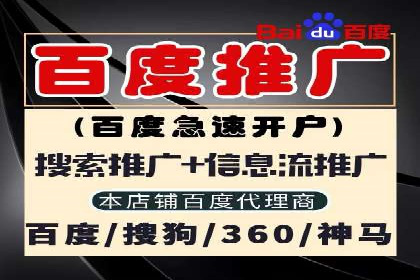 金融行业SEM推广的挑战与机遇